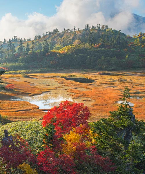 妙高の秋。火打山の小谷池。