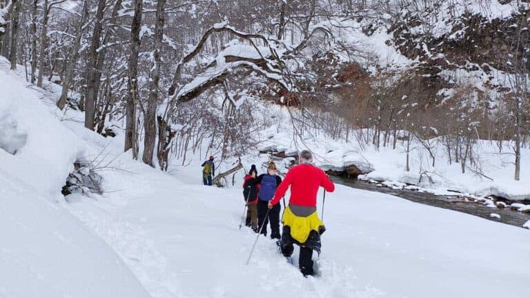 Snowshoe private tour Discover Myoko 6